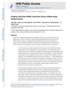 Imaging individual mRNA molecules using multiple singly labeled probes