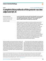 Complete biosynthesis of the potent vaccine adjuvant QS-21