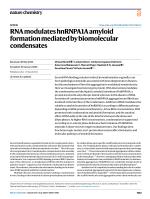 RNA modulates hnRNPA1A amyloid formation mediated by biomolecular condensates
