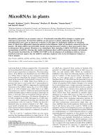 MicroRNAs in plants
