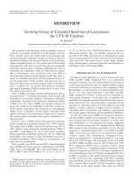 Growing Group of Extended-Spectrum β-Lactamases: the CTX-M Enzymes