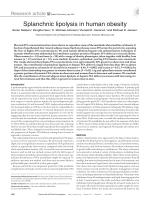 Splanchnic lipolysis in human obesity