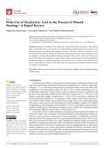 Wide Use of Hyaluronic Acid in the Process of Wound Healing—A Rapid Review