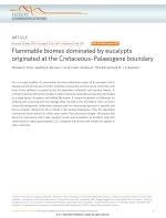 Flammable biomes dominated by eucalypts originated at the Cretaceous-Palaeogene boundary