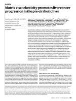 Matrix viscoelasticity promotes liver cancer progression in the pre-cirrhotic liver
