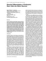 Directed Differentiation of Embryonic Stem Cells into Motor Neurons