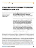 Urease-powered nanobots for radionuclide bladder cancer therapy