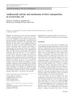 Antibacterial activity and mechanism of silver nanoparticles on Escherichia coli