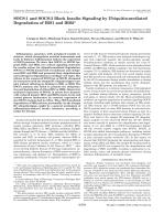 SOCS-1 and SOCS-3 Block Insulin Signaling by Ubiquitin-mediated Degradation of IRS1 and IRS2