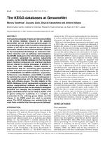 The KEGG databases at GenomeNet