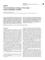 The evolutionary ecology of the major histocompatibility complex