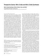 Nitric Oxide Synthases: Which, Where, How, and Why?
