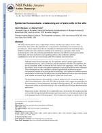 Epidermal homeostasis: a balancing act of stem cells in the skin