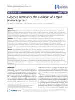 Evidence summaries: the evolution of a rapid review approach