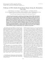 Pathways of DNA Double-Strand Break Repair during the Mammalian Cell Cycle