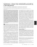 Cytochrome c release from mitochondria proceeds by a two-step process