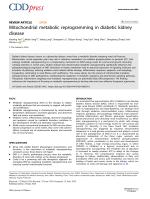 Mitochondrial metabolic reprogramming in diabetic kidney disease