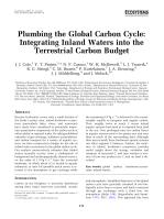 Plumbing the Global Carbon Cycle: Integrating Inland Waters into the Terrestrial Carbon Budget