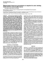 Hippocampal long-term potentiation is impaired in mice lacking brain-derived neurotrophic factor