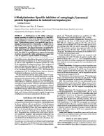 3-Methyladenine: Specific inhibitor of autophagic/lysosomal protein degradation in isolated rat hepatocytes (autophagy/lysosomes)