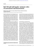 Rel/NF-κB/IκB family: intimate tales of association and dissociation