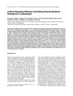 A Novel Signaling Pathway Controlling Induced Systemic Resistance in Arabidopsis