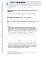 ALE meta-analysis of action observation and imitation in the human brain
