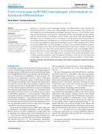 From monocytes to M1/M2 macrophages: phenotypical vs. functional differentiation