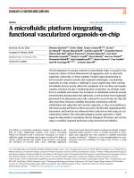A microfluidic platform integrating functional vascularized organoids-on-chip