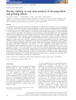Biochar stability in soil: meta-analysis of decomposition and priming effects