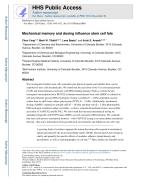 Mechanical memory and dosing influence stem cell fate