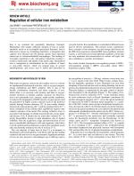 Regulation of cellular iron metabolism