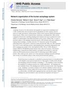 Network organization of the human autophagy system