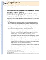From endoplasmic-reticulum stress to the inflammatory response