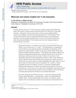 Molecular and cellular insights into T cell exhaustion