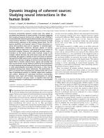 Dynamic imaging of coherent sources: Studying neural interactions in the human brain