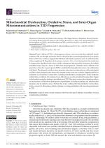 Mitochondrial Dysfunction, Oxidative Stress, and Inter-Organ Miscommunications in T2D Progression