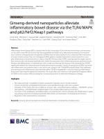 Ginseng-derived nanoparticles alleviate inflammatory bowel disease via the TLR4/MAPK and p62/Nrf2/Keap1 pathways