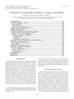 Pathogenesis of Aspergillus fumigatus in Invasive Aspergillosis