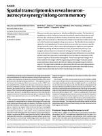 Spatial transcriptomics reveal neuron–astrocyte synergy in long-term memory