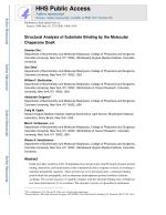 Structural Analysis of Substrate Binding by the Molecular Chaperone DnaK