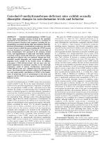 Catechol-O-methyltransferase-deficient mice exhibit sexually dimorphic changes in catecholamine levels and behavior