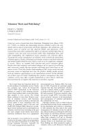 Volunteer Work and Well-Being