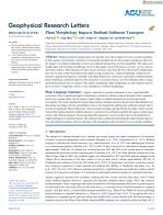 Plant Morphology Impacts Bedload Sediment Transport
