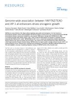 Genome-wide association between YAP/TAZ/TEAD and AP-1 at enhancers drives oncogenic growth