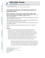 Acetylcholine-Synthesizing T Cells Relay Neural Signals in a Vagus Nerve Circuit