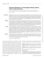 Intrinsic Resistance of Tumorigenic Breast Cancer Cells to Chemotherapy