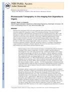 Photoacoustic Tomography: In Vivo Imaging from Organelles to Organs