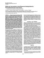 Different intermediate-sized filaments distinguished by immunofluorescence microscopy (vimentin/prekeratin/cytoskeleton/tonofilaments/mitotic drugs)