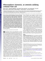 Nitrososphaera viennensis, an ammonia oxidizing archaeon from soil